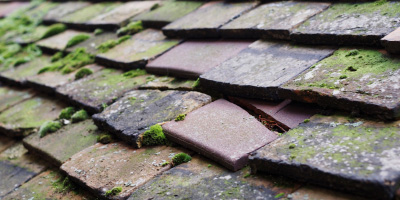 Harpur roof repair costs